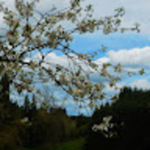 Meet your Posher, Clarissa